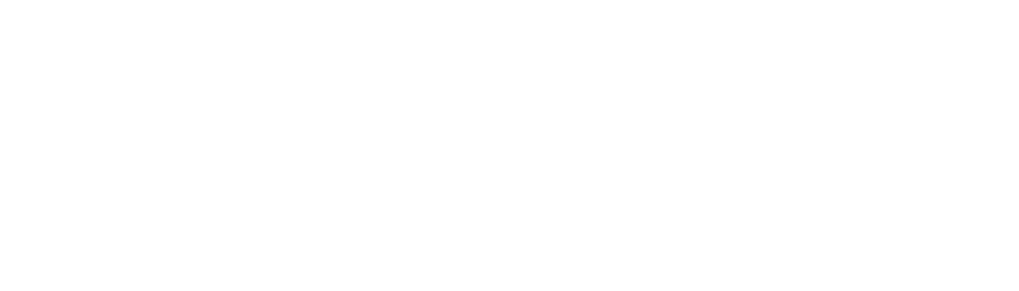 logo_forenkla_RGB_white